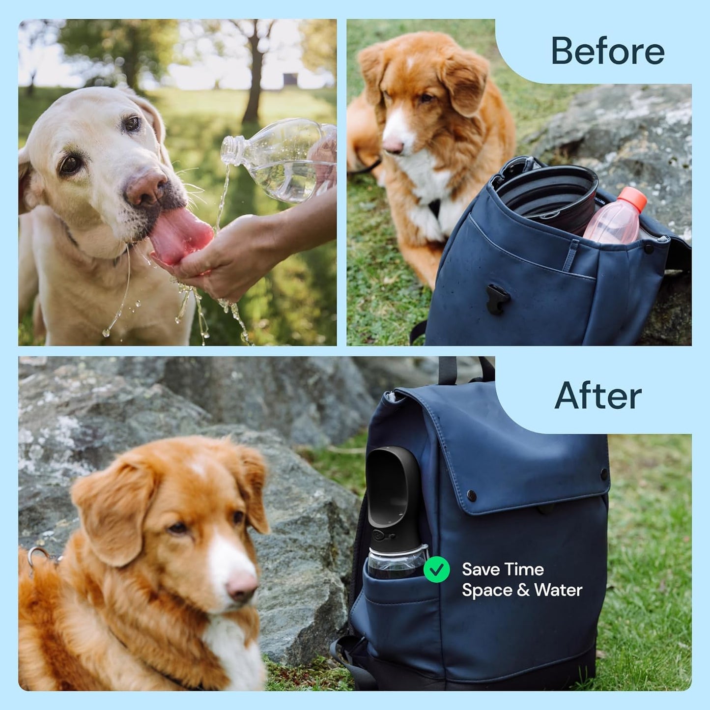 19 oz Portable Dog Water Bottle – Leak-Proof Travel Pet Water Dispenser with Foldable Trough for Walking, Hiking, Camping with Dogs & Cats