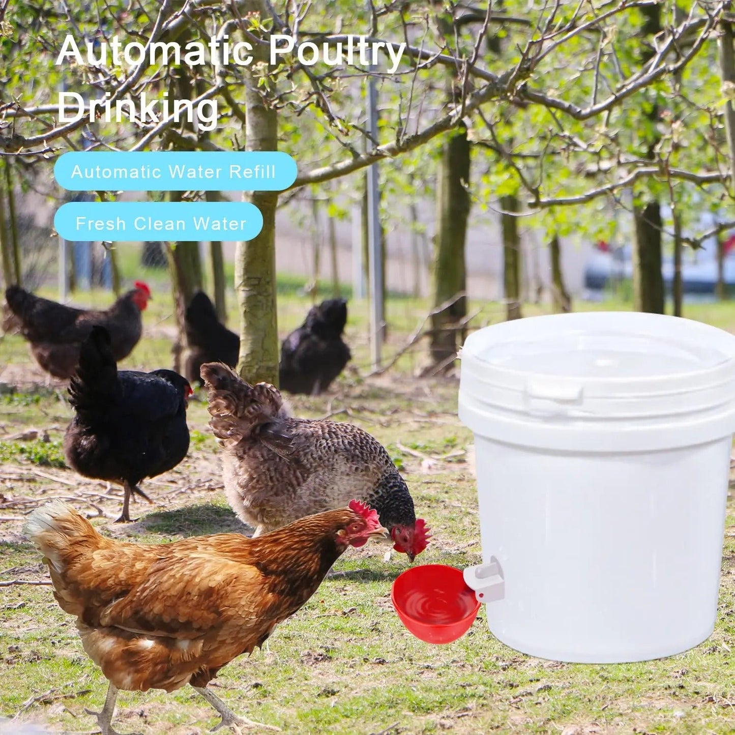 10 PCS Automatic Chicken Waterer Cups – Poultry Water Drinker Nipples for Hens, Ducks, Turkeys, Backyard Chickens & Broilers