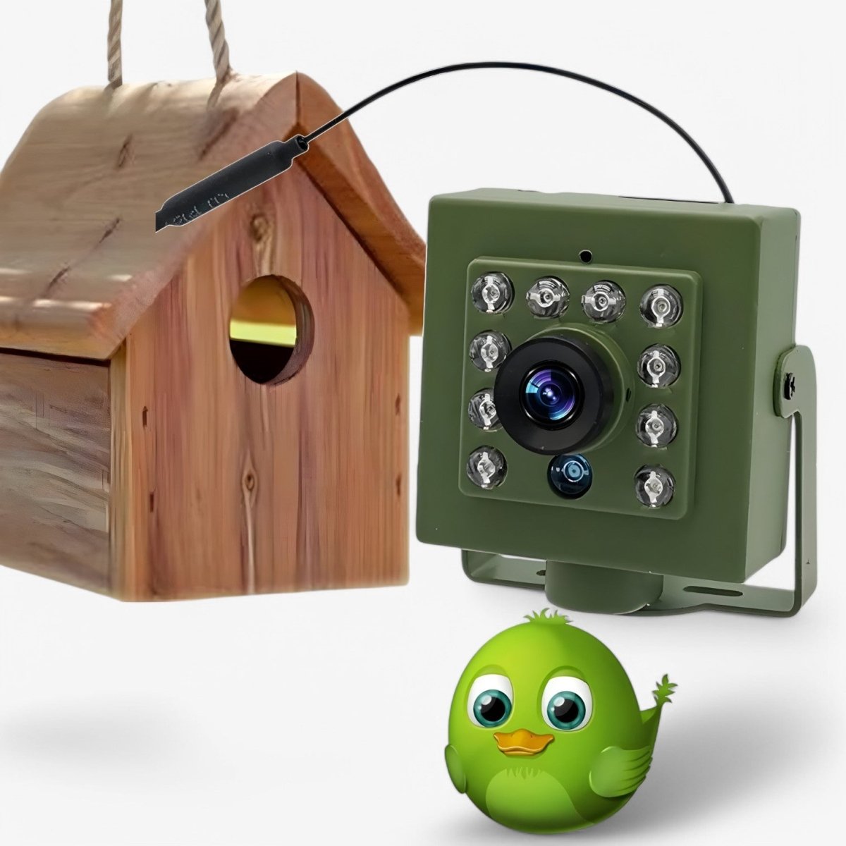 1080P HD Weatherproof Wildlife Bird Watching Camera – Night Vision Trail Cam with Motion Detection, Remote Access, for Outdoor Nature Photography