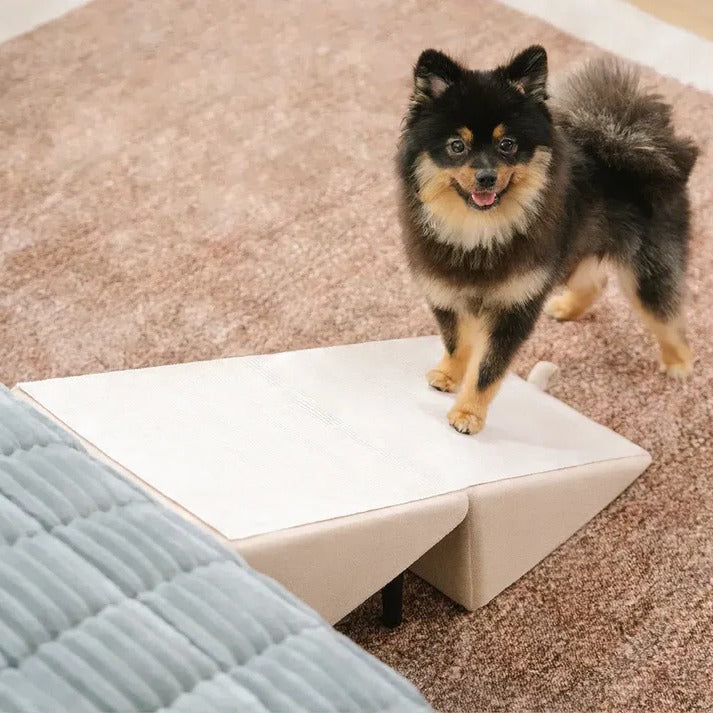 2-in-1 Convertible Dog Ramp & Pet Stairs – Foldable Dog Step Ladder for Bed, Sofa & Car, for Small to Large Dogs & Cats, Orthopedic Joint Support